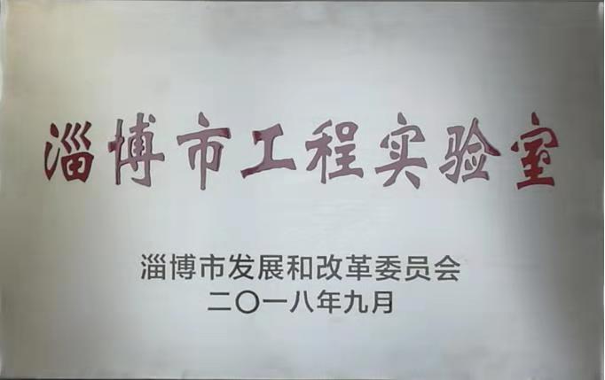 重山光電功能氟碳材料平臺被認定為淄博市工程實驗室