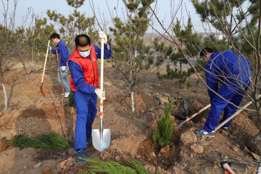 綠化重山|公司組織員工參加植樹活動