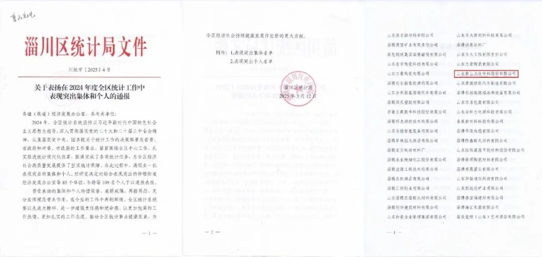 我公司榮獲2024年度全區(qū)統(tǒng)計(jì)工作表現(xiàn)突出集體