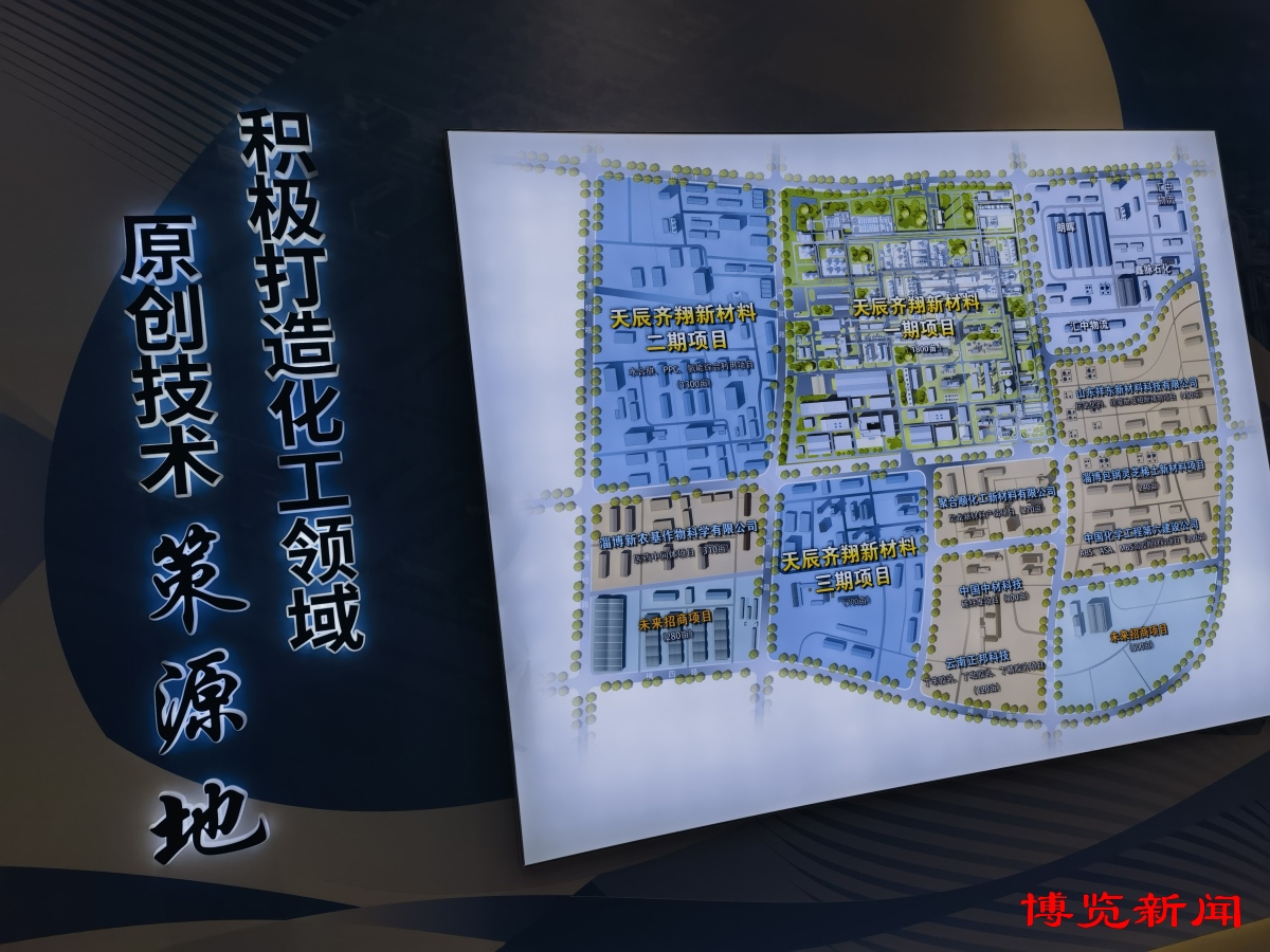 淄博精細化工如何變優勢為勝勢？